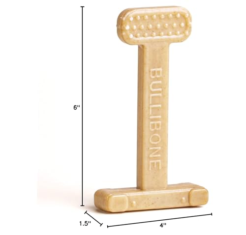 Bullibone, utilisation quotidienne à la maison pour occuper le chien.