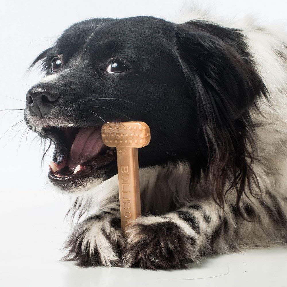 Bullibone: usage quotidien favorisant l’engagement et la concentration