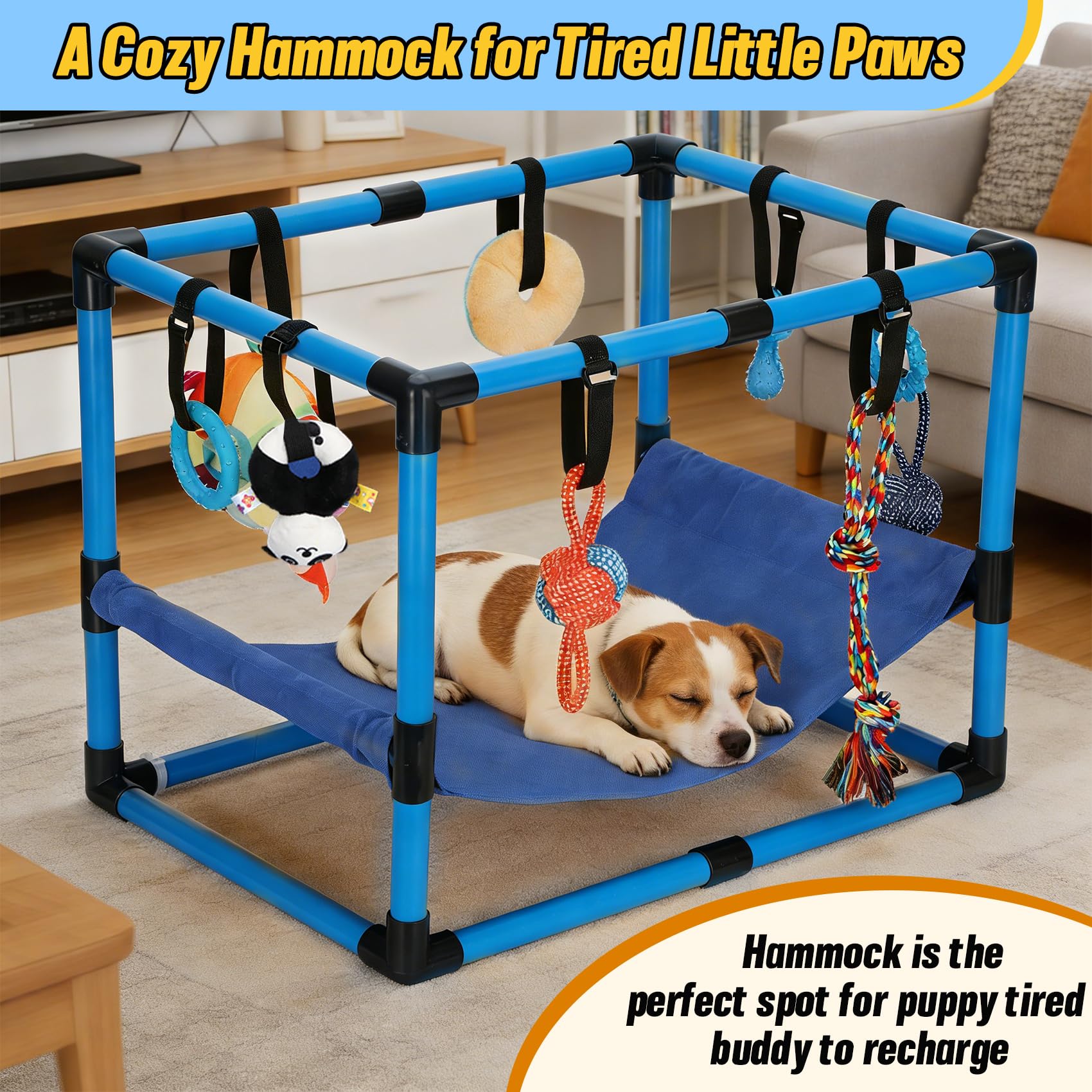 Bullro aire de jeux chiots bleu: 8 jouets suspendus pour stimuler instinct et curiosité.