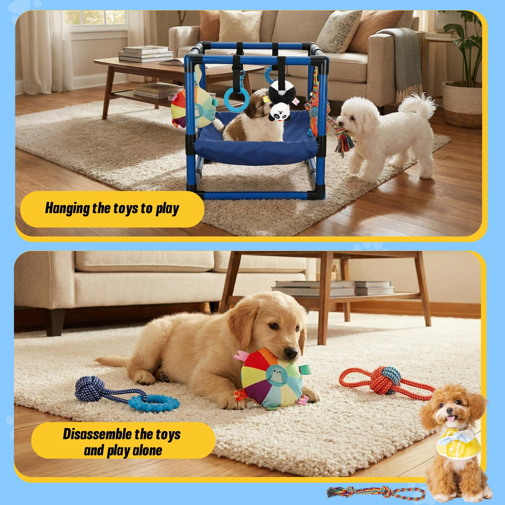 Bullro aire de jeux chiots bleu: réduction de l'ennui et de l'anxiété.
