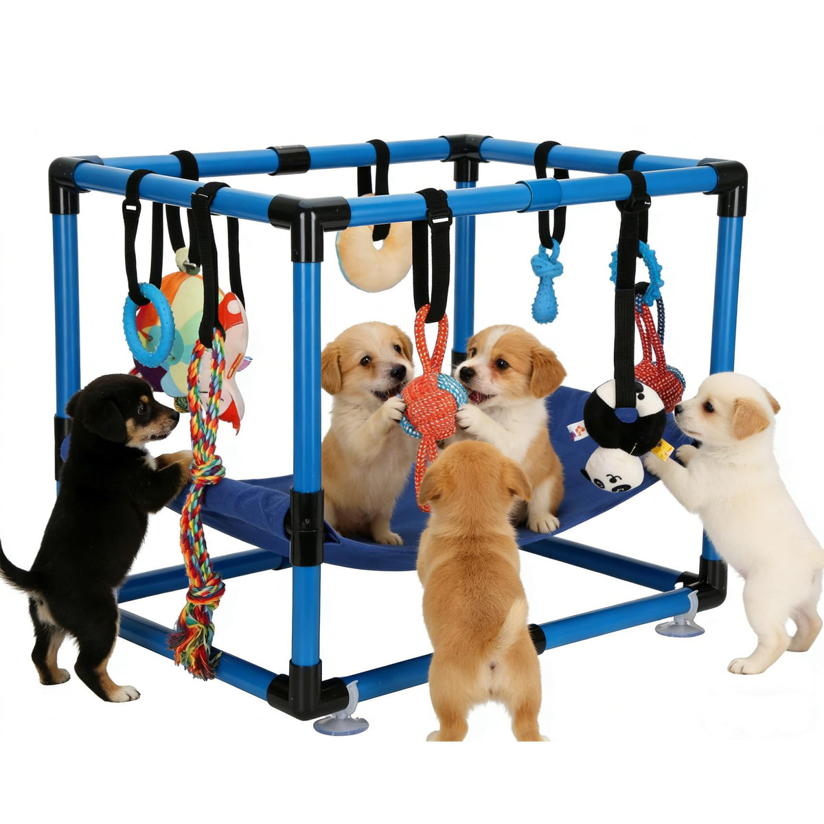 Bullro aire de jeux chiots bleu: vue d'ensemble, espace sûr et stimulant pour l'exploration.