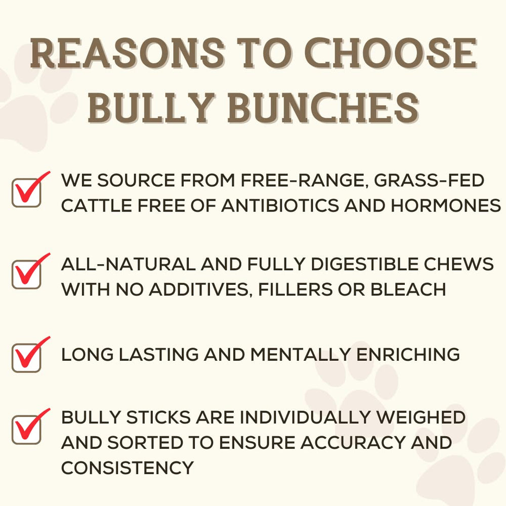 Bully Bunches – baton de 12 pouces sans odeur, solution agréable pour chiens sensibles.