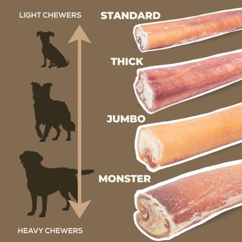 Bully Bunches baton pour grands chiens, sans odeur et expérience de jeu durable