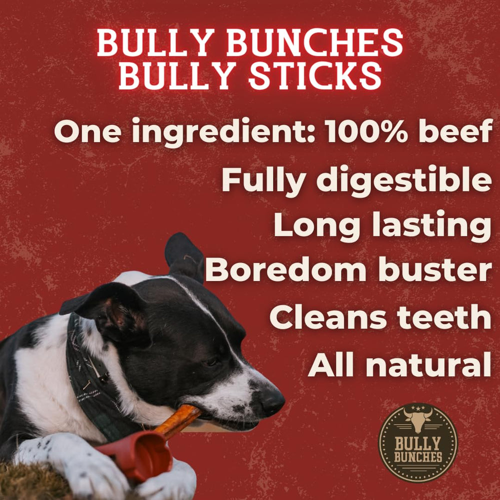 Bully Bunches soutien potentiel à la dentition lors du mâchage.