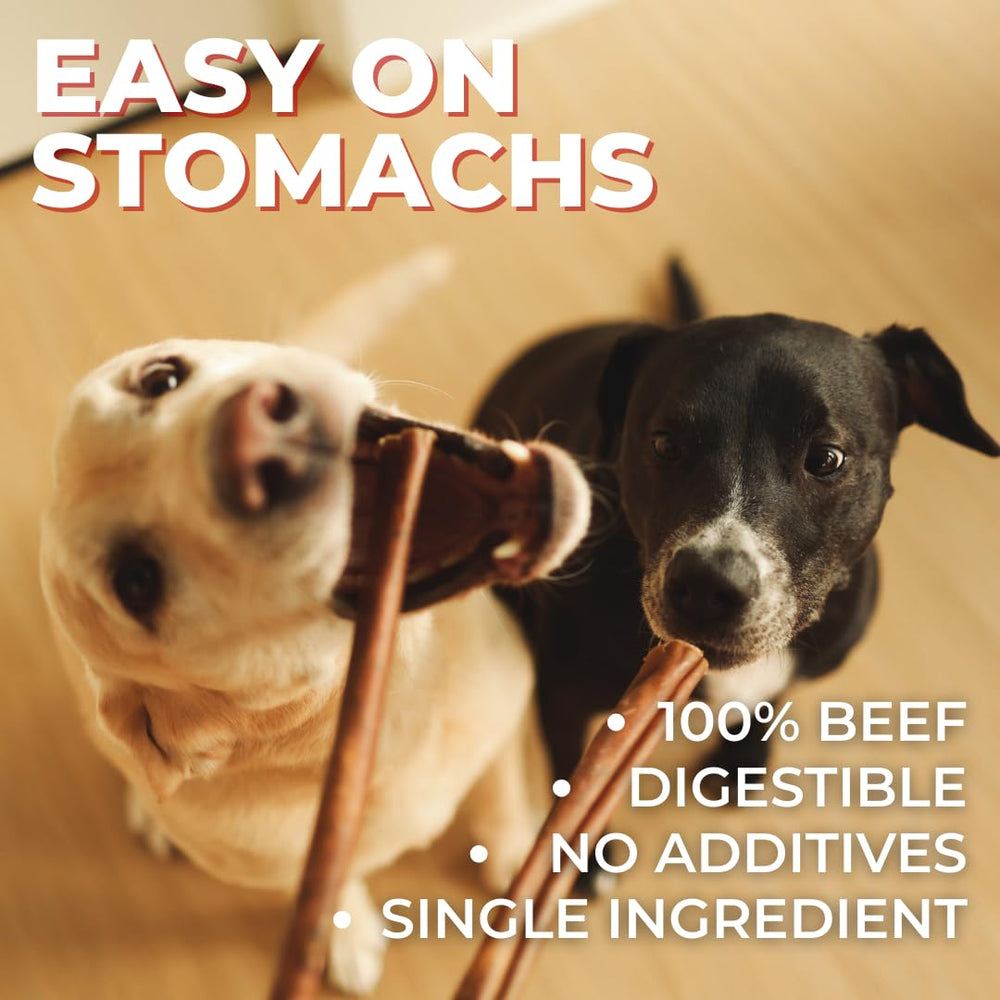 Bully Bunches: friandises dentaires, texture ferme pour nettoyer les dents.