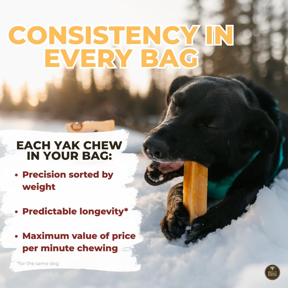 Bully Bunches Mega Yak Gros Chien: idéal pour chiens géants qui mâchent fort.