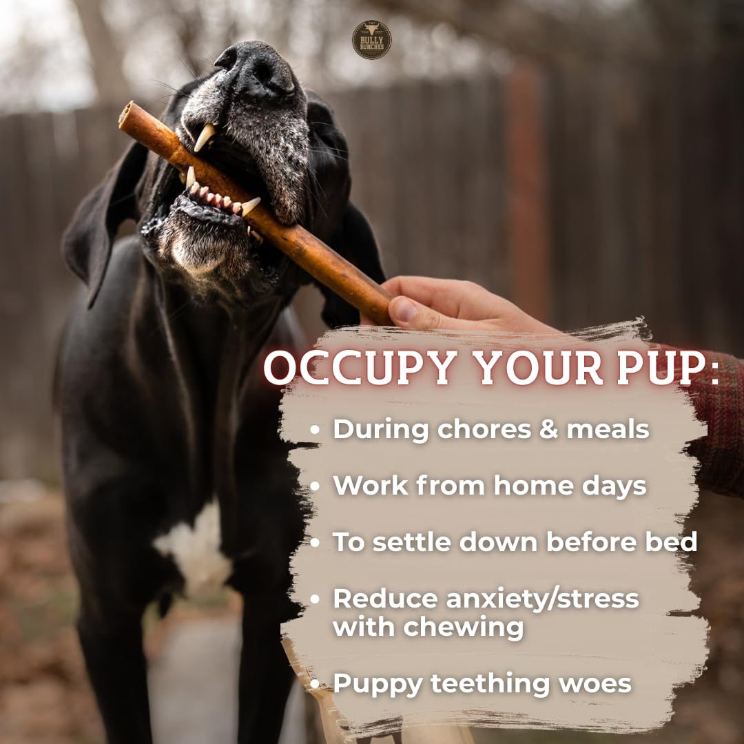 Bully Bunches: protéines riches, snack nutritif pour chiens.