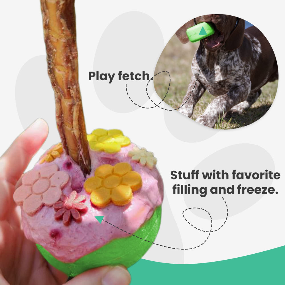 Bully Grip jeu interactif chien stimule l engagement et stimulation mentale