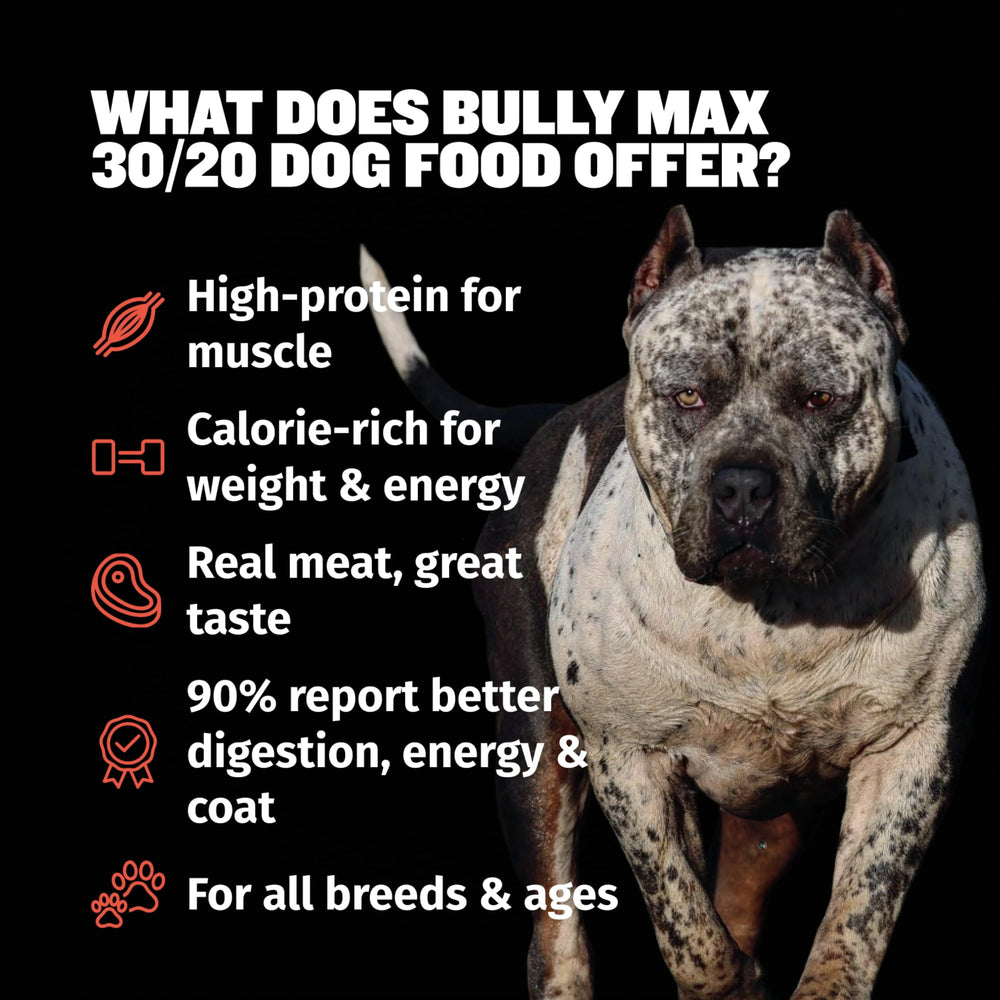 Bully Max algues kelp : soutien articulations et mobilité.