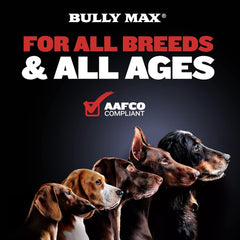 Bully Max: chien dynamique en extérieur avec mobilité et énergie.