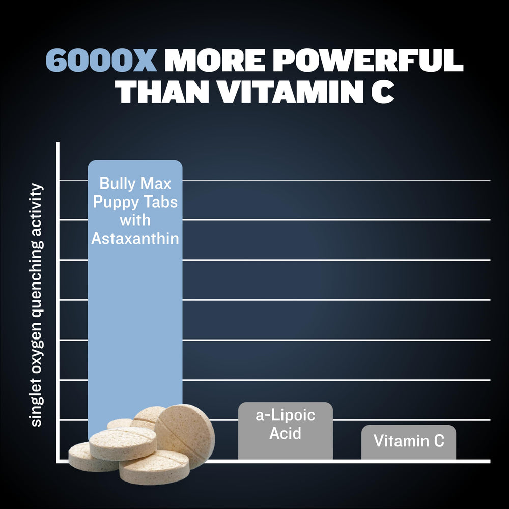Bully Max – mélange de collagène et spiruline, complément nutritionnel pour petits chiens.