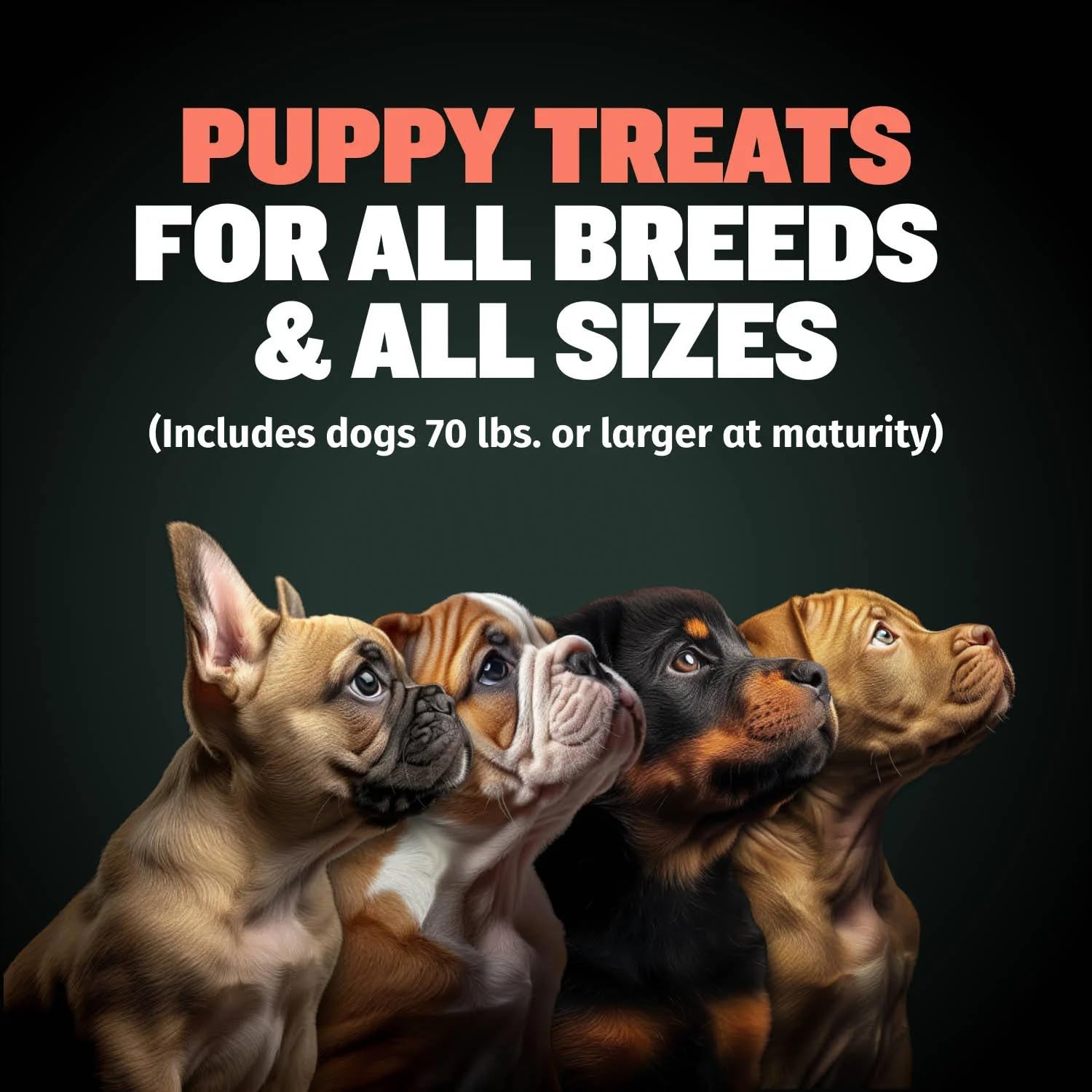 Bully Max Complément Nutritionnel Chiot : apport nutritionnel quotidien pour soutenir la croissance.
