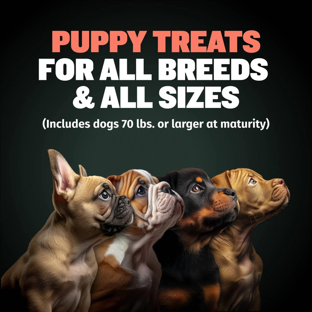 Bully Max Complément Nutritionnel Chiot : apport nutritionnel quotidien pour soutenir la croissance.