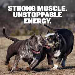 Bully Max croquettes protéine 30pourcent : soutien musculaire pour chiens actifs.