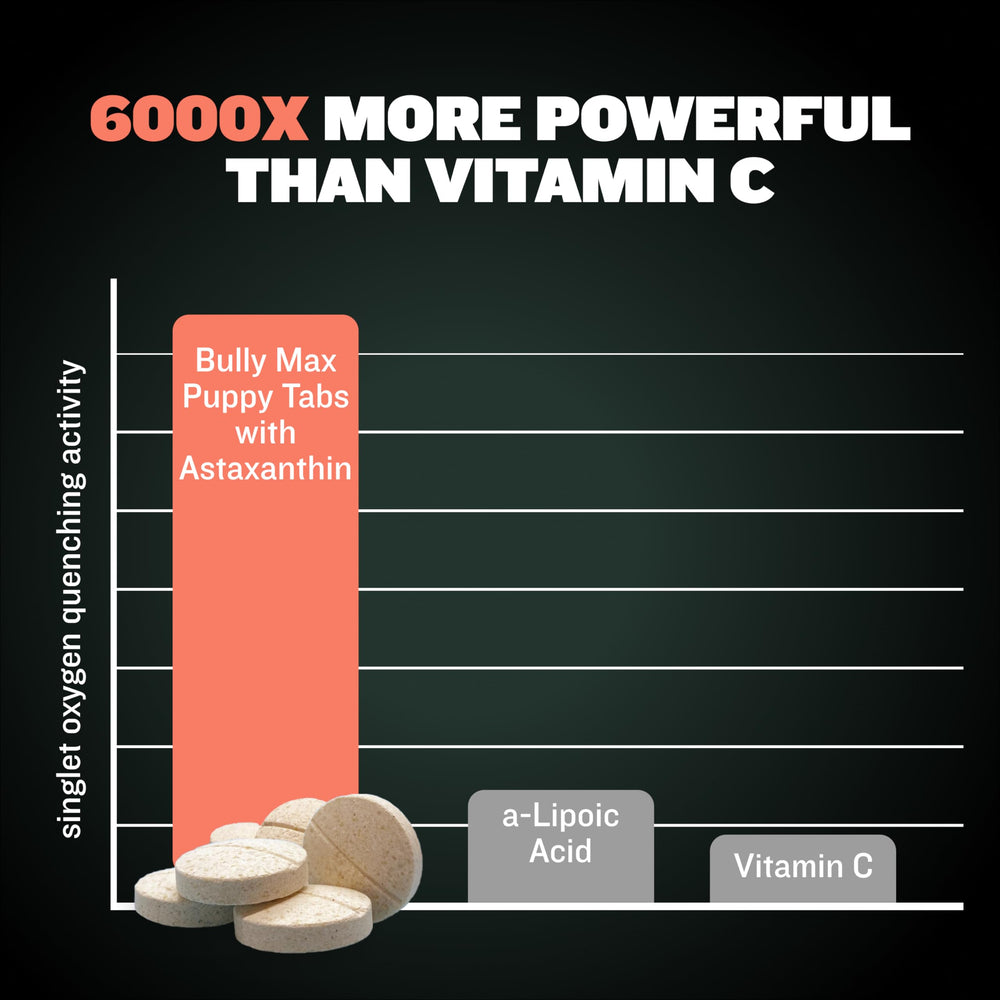 Bully Max curcuma chiot – propriétés anti inflammatoires et mobilité