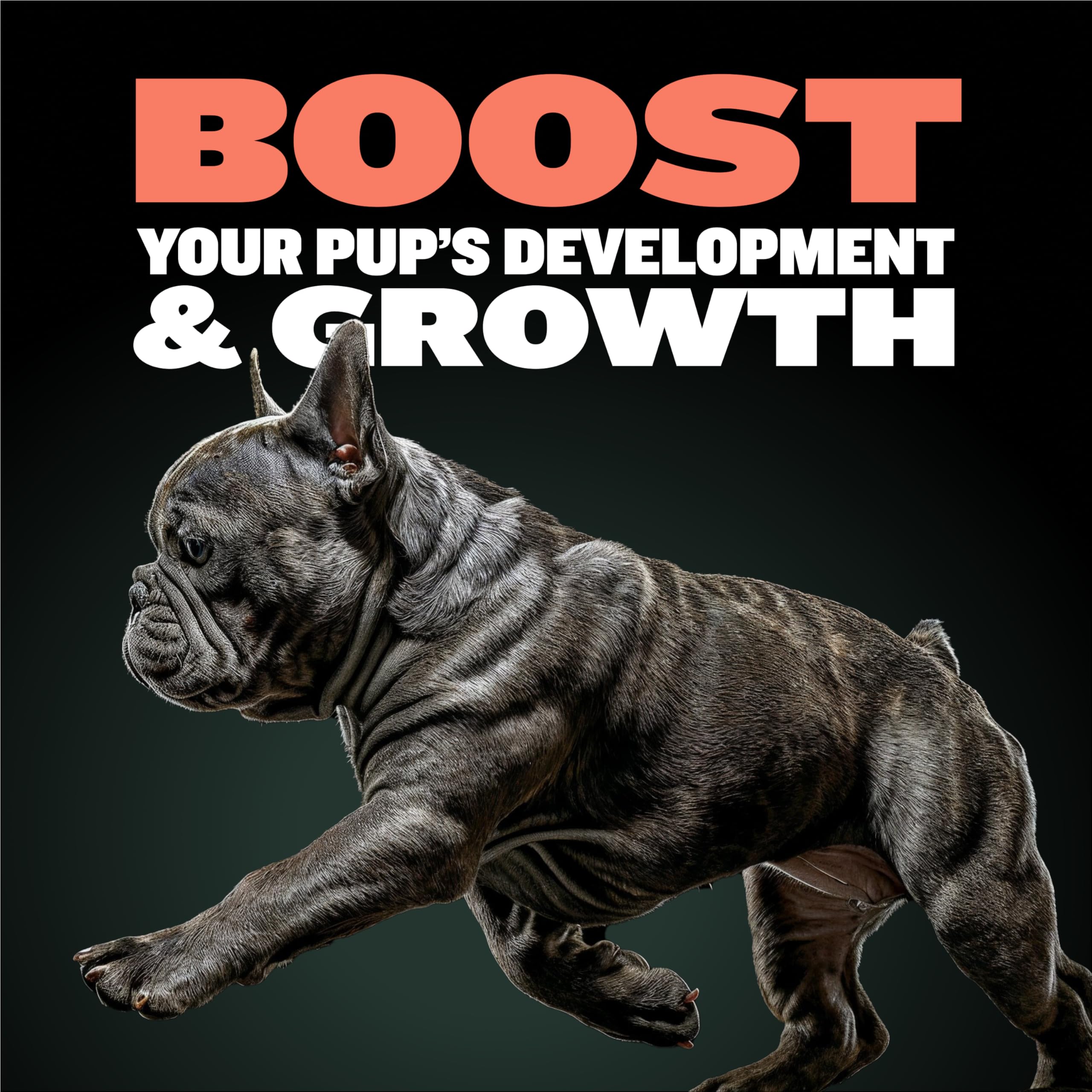 Bully Max digestion chiot – tablettes aidant l’absorption des nutriments