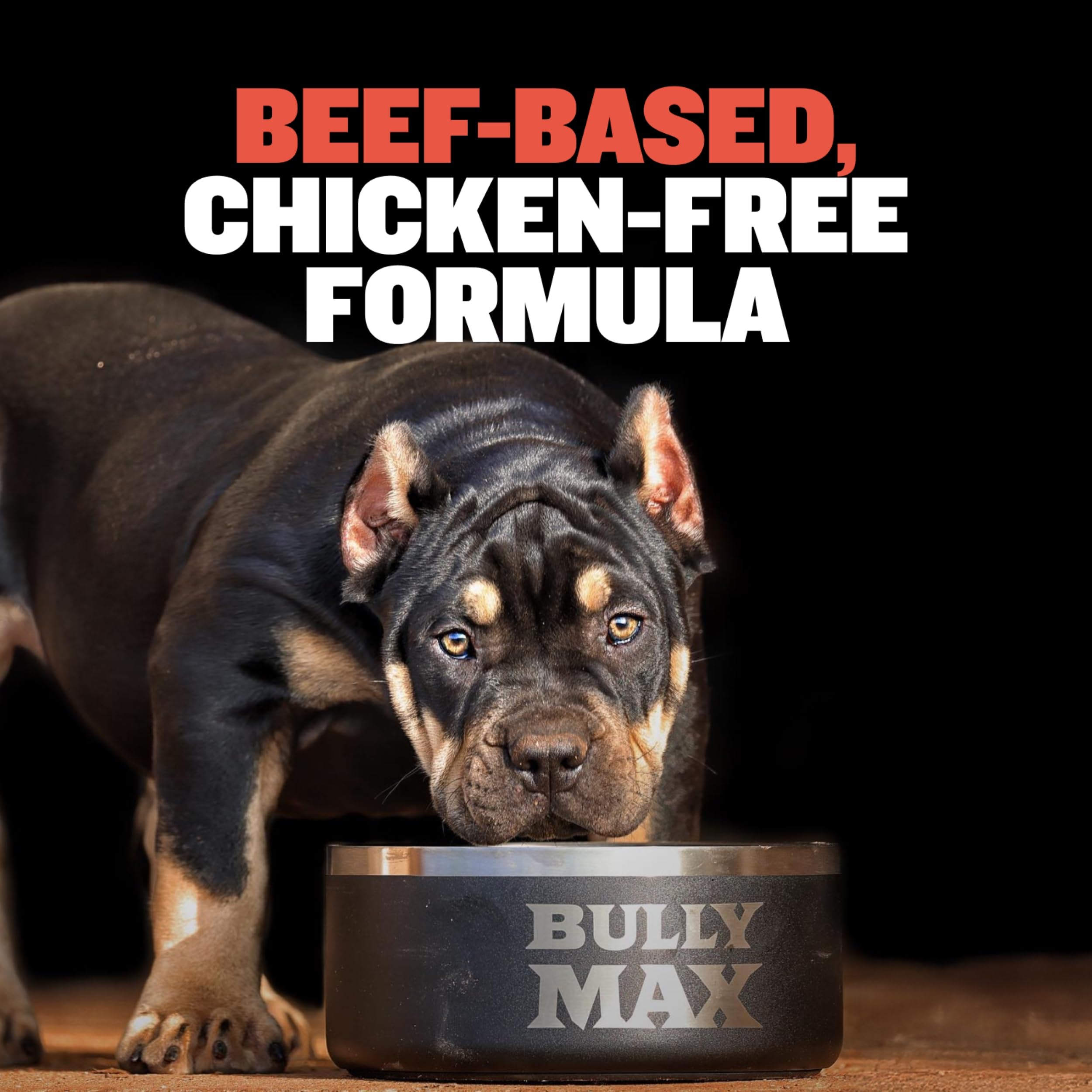 Bully Max fabriqué États‑Unis : normes de qualité et traçabilité.