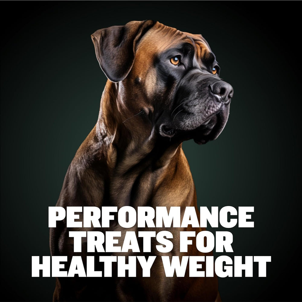 Bully Max Weight Gainer – sachets probiotiques pour digestion et immunité des chiens.