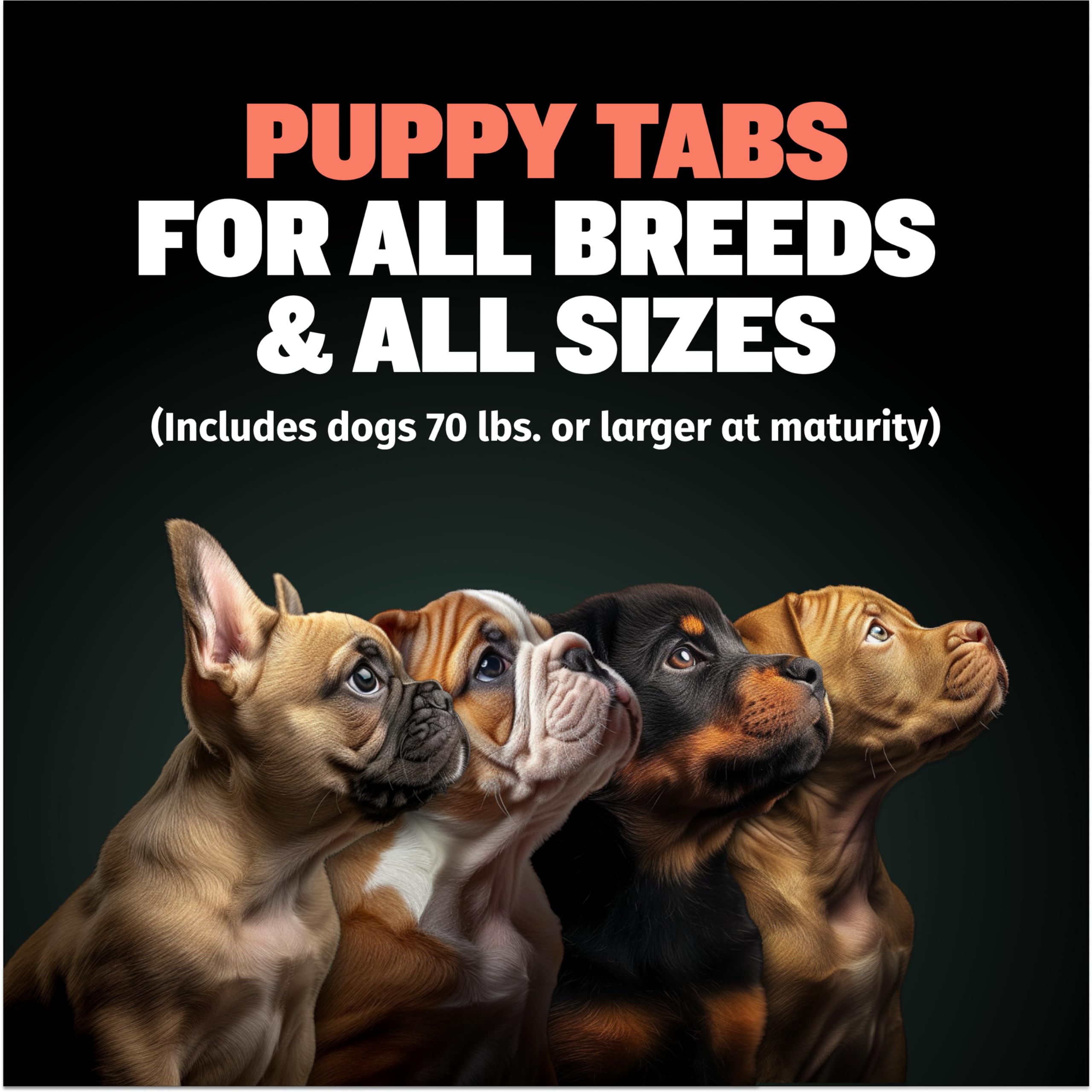 Bully Max tablettes chiot – portions pratiques pour le développement quotidien