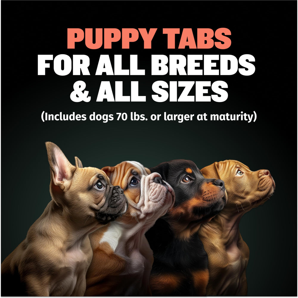 Bully Max tablettes chiot – portions pratiques pour le développement quotidien