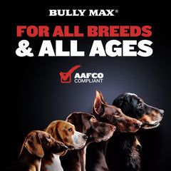 Bully Max avec ZMA et vitamines pour énergie et métabolisme.