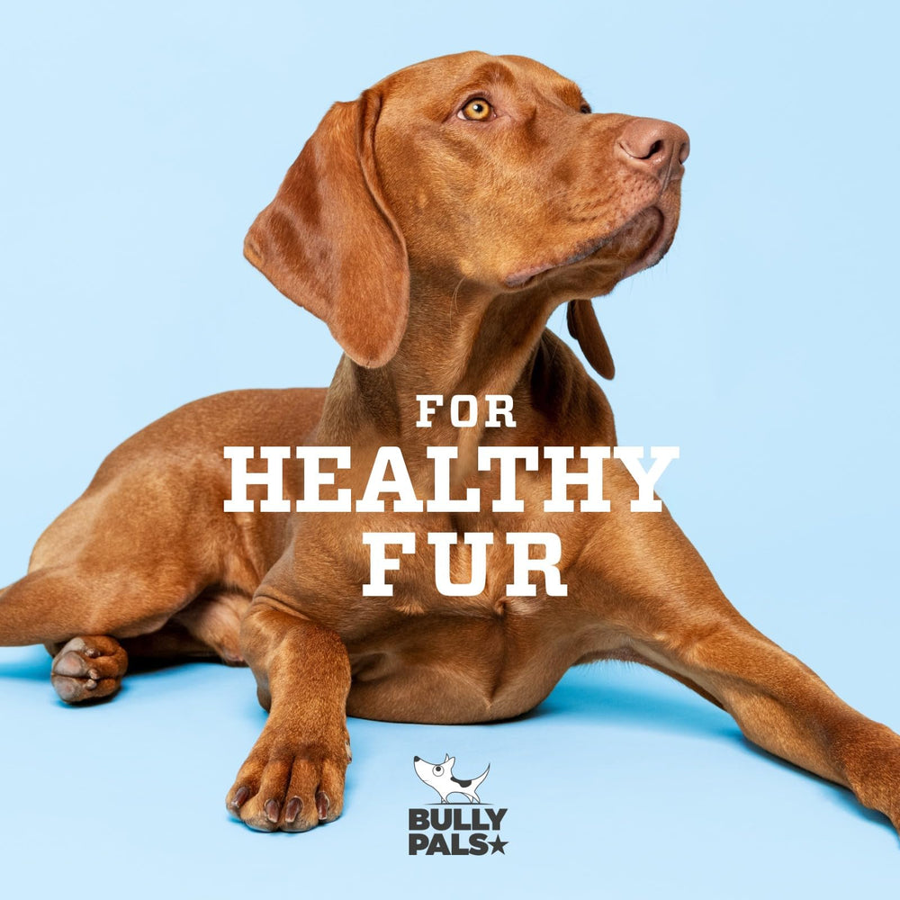 BULLY PALS digestible-naturel : alternative naturelle et digeste au cuir cru.