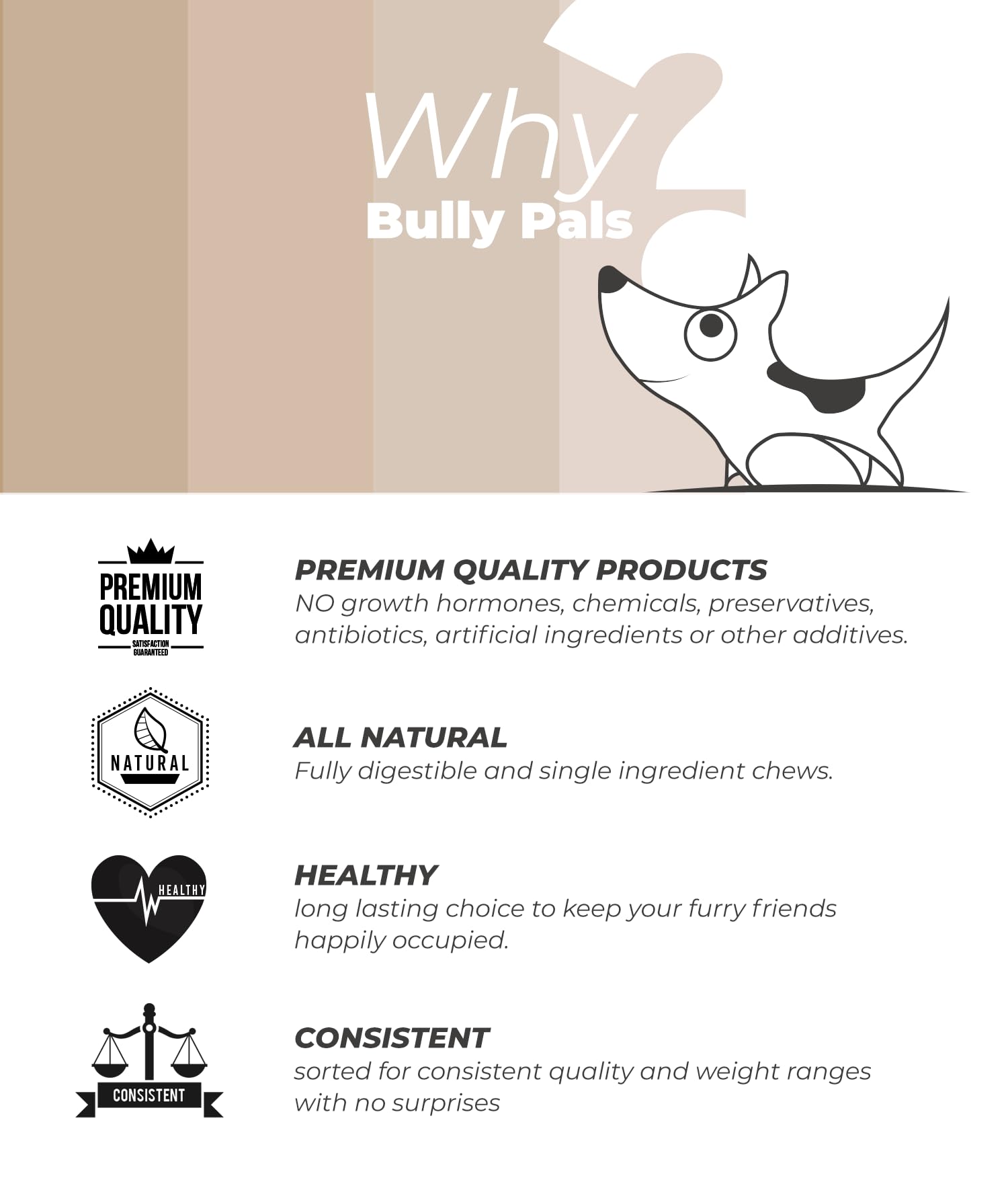 BULLY PALS entretien-dentaire-mastic : aide potentielle au nettoyage des dents lors des jeux.