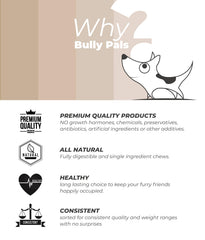 BULLY PALS entretien-dentaire-mastic : aide potentielle au nettoyage des dents lors des jeux.