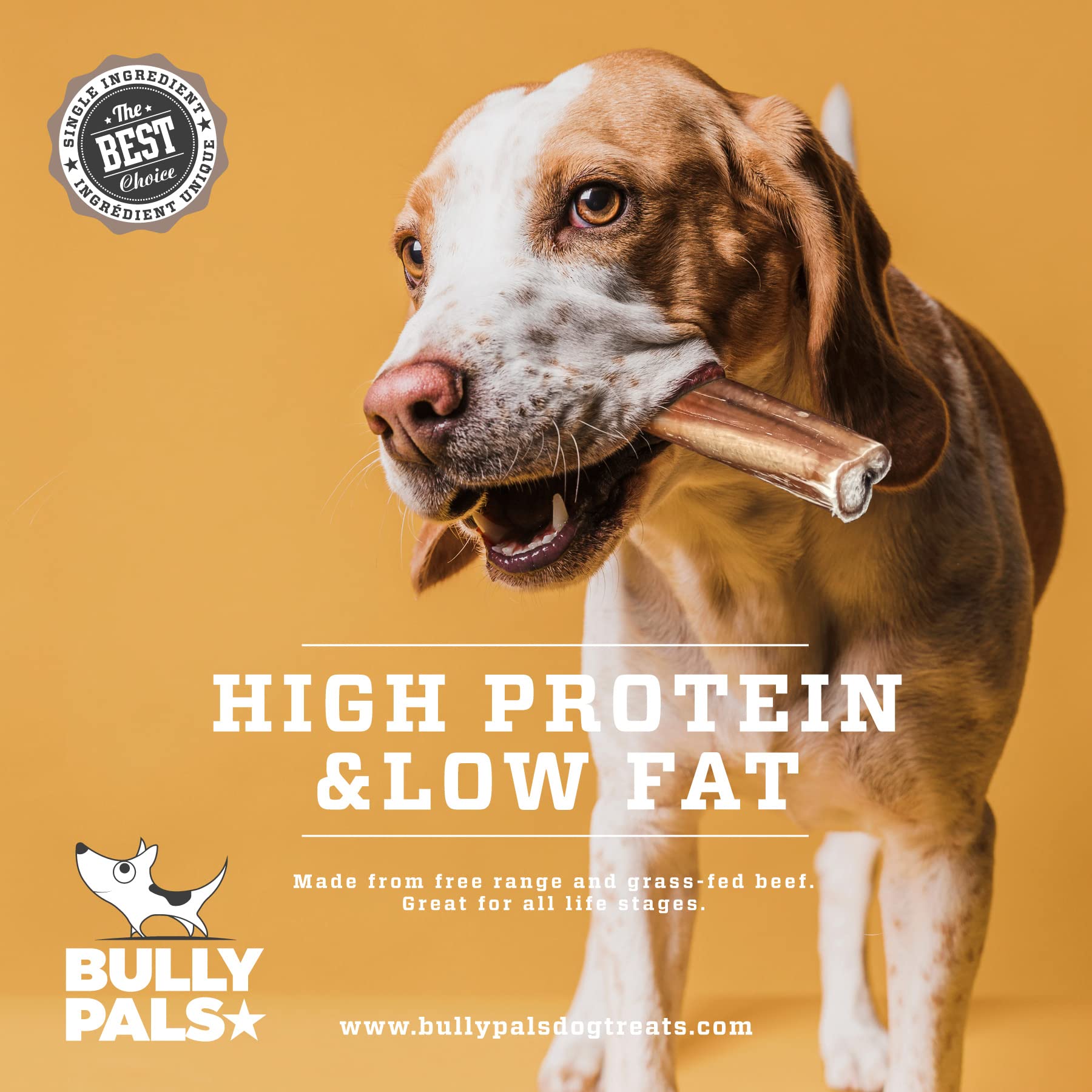 BULLY PALS proteine-100 : haute teneur en protéines pure pour chiens actifs.