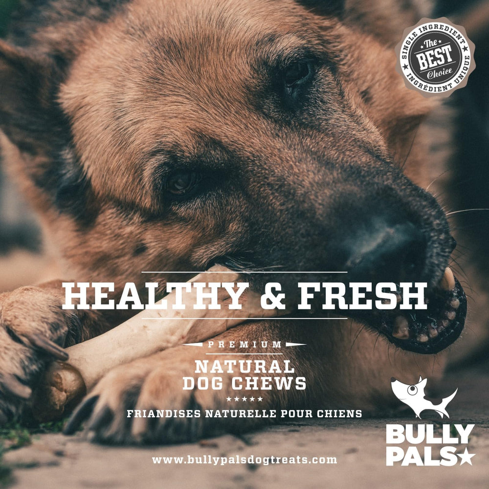 BULLY PALS sans-additifs-artificiels : 100% naturel sans additifs.