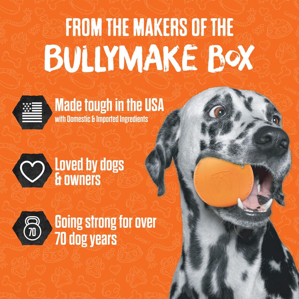 BULLYMAKE Design jeu-video, jouet inspiré des jeux pour plus de plaisir et d'engagement.