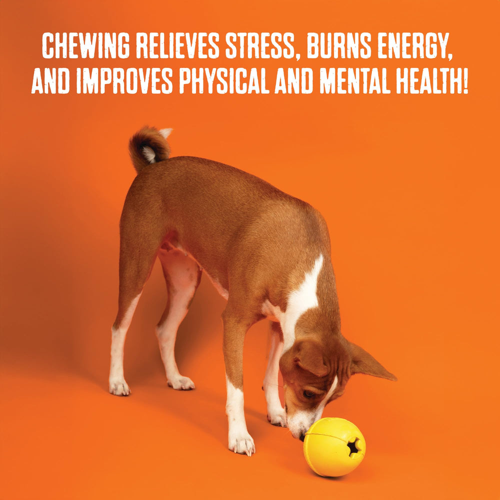 BULLYMAKE Jouet dur Mordeur, conçu pour chiens mordeurs et sessions de mastication.