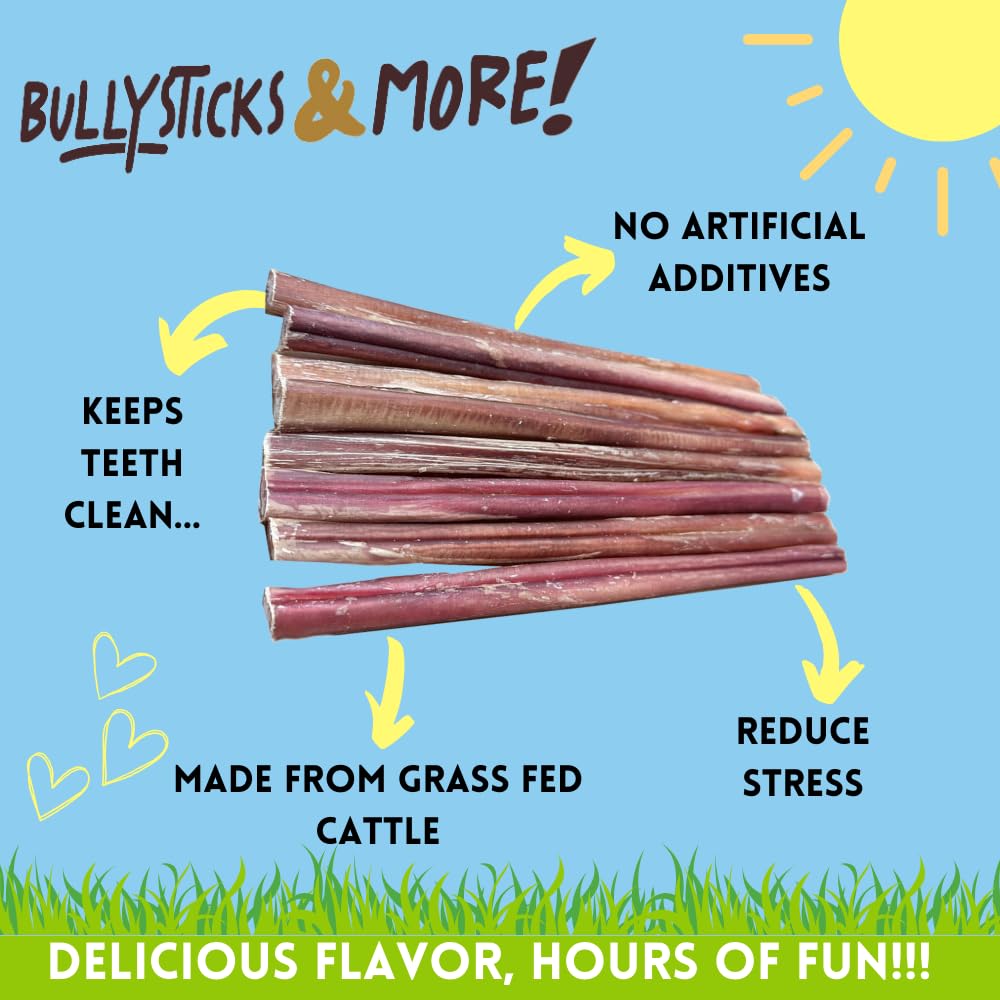 BULLYSTICKS & MORE bâton bully – hautes protéines pour chiens moyens.