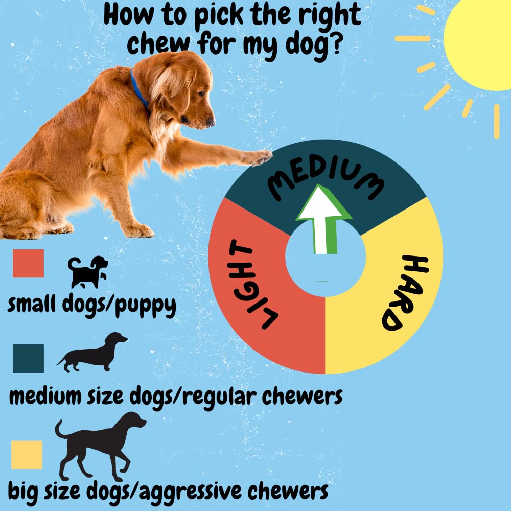 BULLYSTICKS & MORE Bully Sticks riches en proteines pour soutien quotidien.