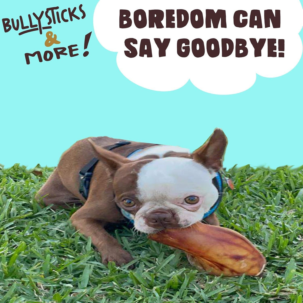 Bullysticks & More: sans cuir, oreilles porc entieres, friandise durable pour chien.