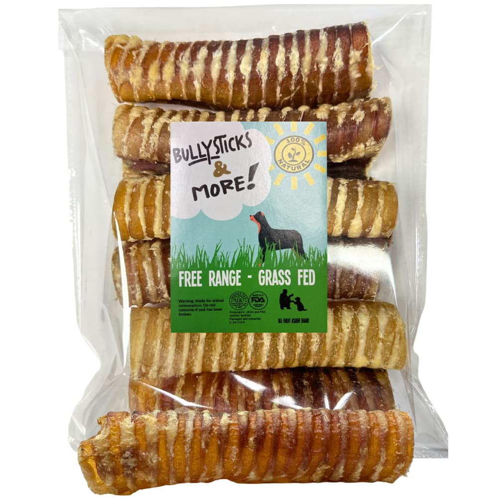 Bullysticks & More trāchée boeuf 6pack : friandise durable pour chien actif