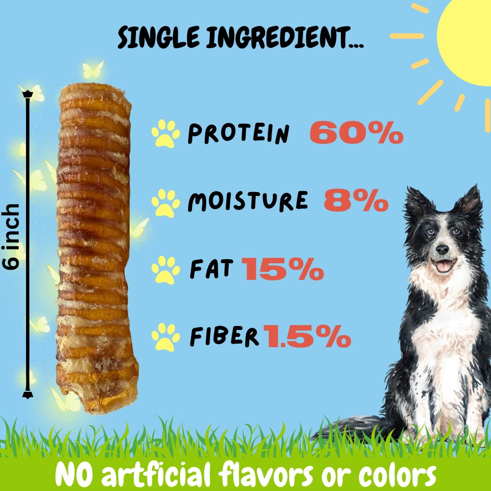 Bullysticks & More trāche boeuf: mastication longue durée pour chien