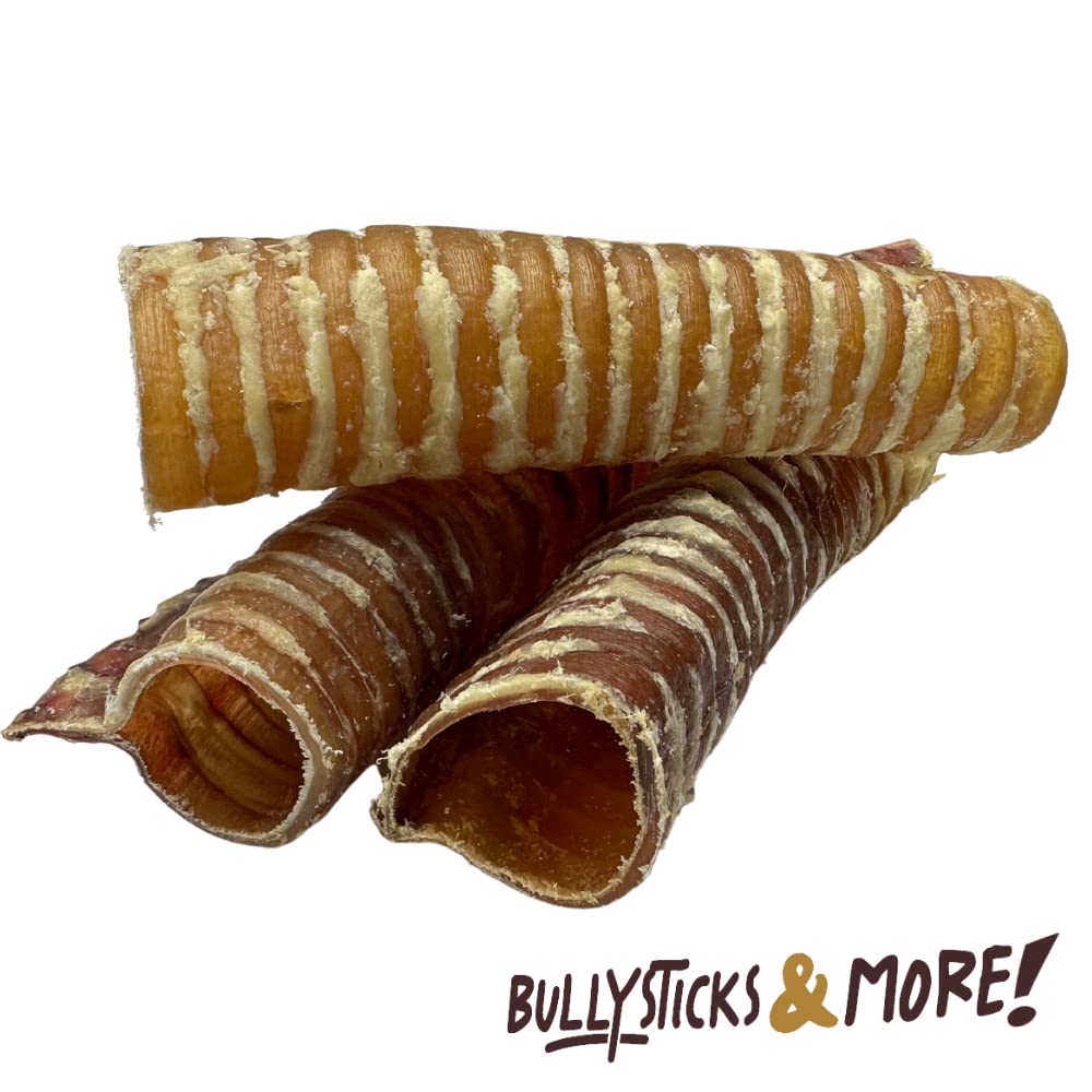 Bullysticks & More trāchée boeuf: protéine élevée pour complément alimentaire