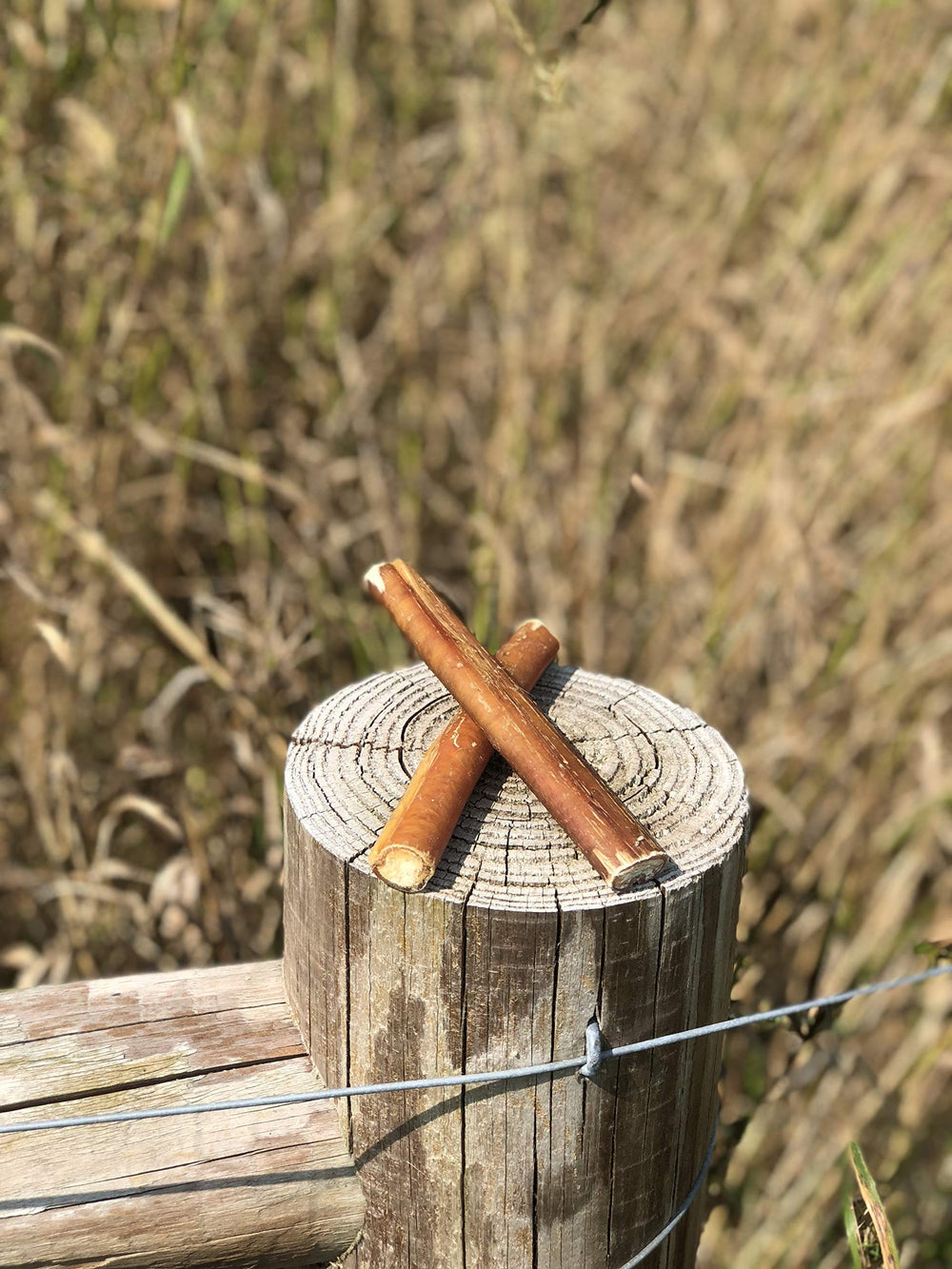 Bullysticks Organic Standard mordant durable, recompense longue duree pour jeux et apprentissage.