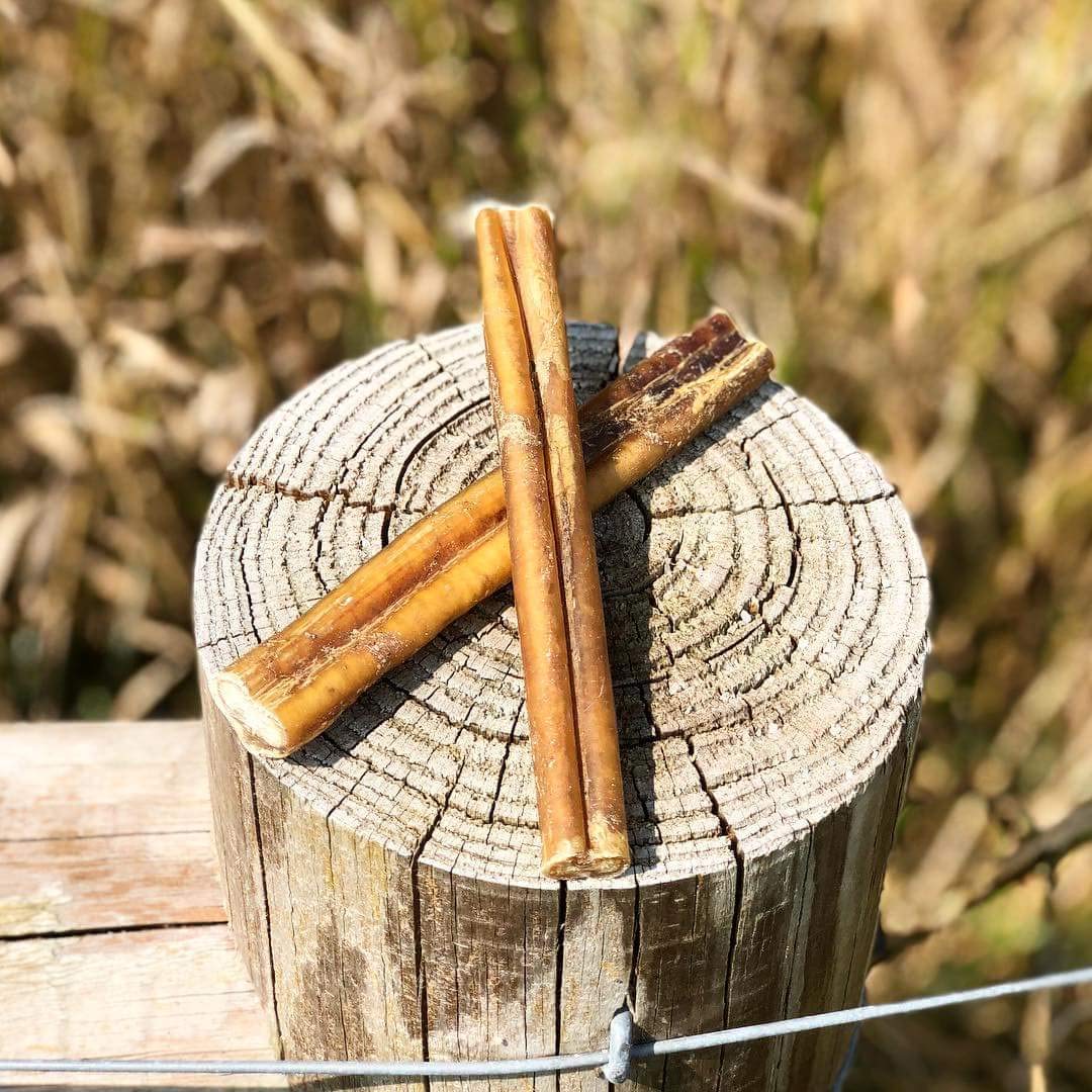 Bullysticks Organic Standard sans antibiotiques, friandise naturelle et sans additifs.