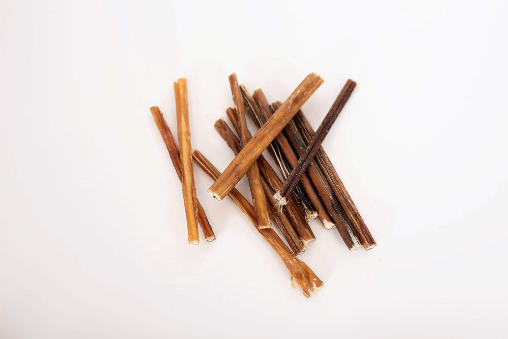 Bullysticks Organic Standard sante dentaire, aidant a maintenir dents propres pendant le jeu.
