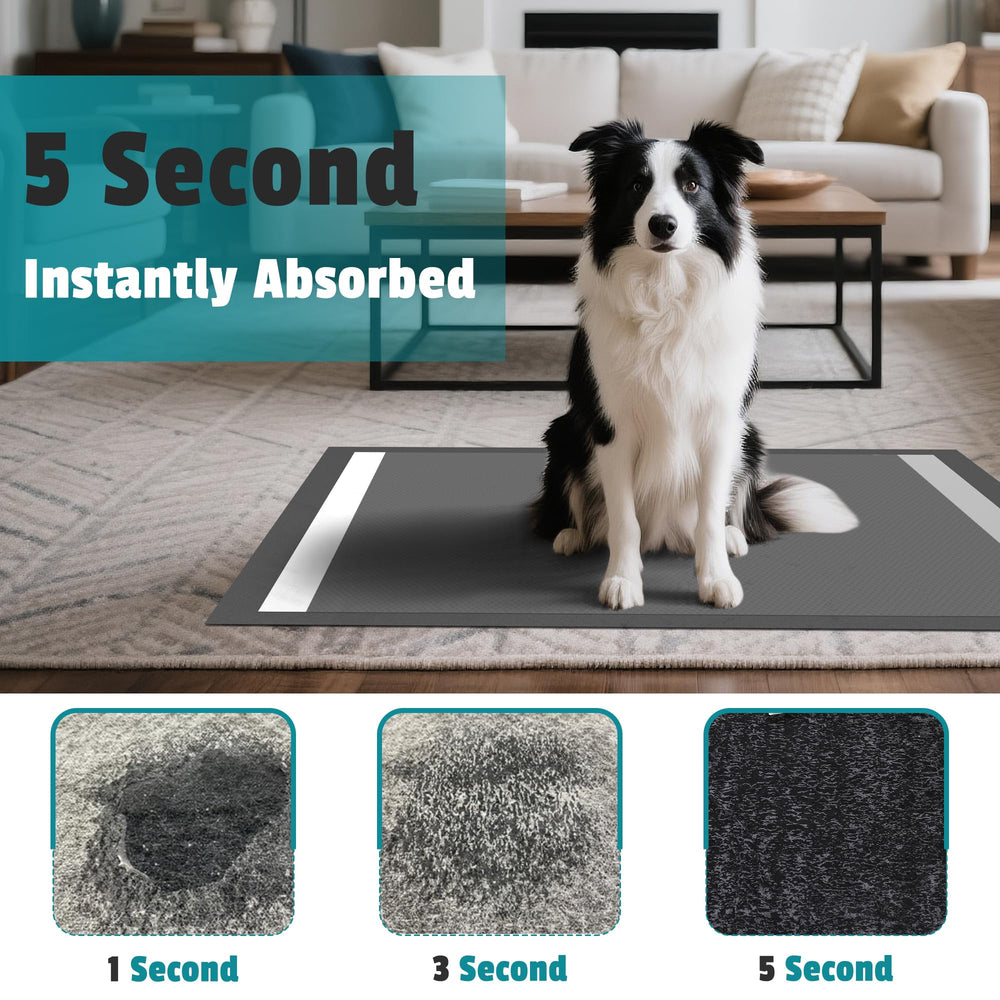 Bulubaky tapis charbon absorbant XXXL, démonstration d’absorption rapide pour sol sec.