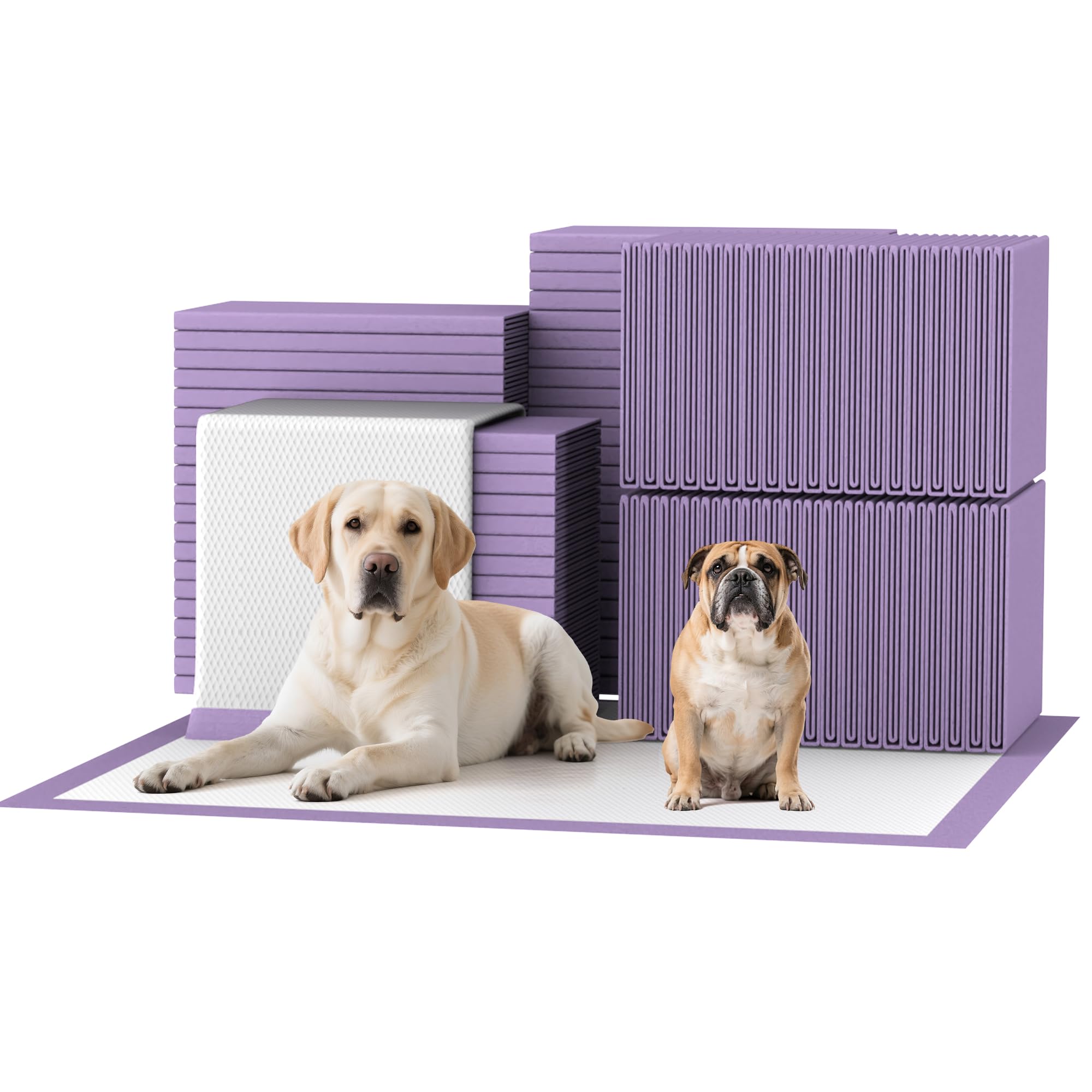 Bulubaky tapis-potty lavande absorbant 30x36 pour chiens et chats
