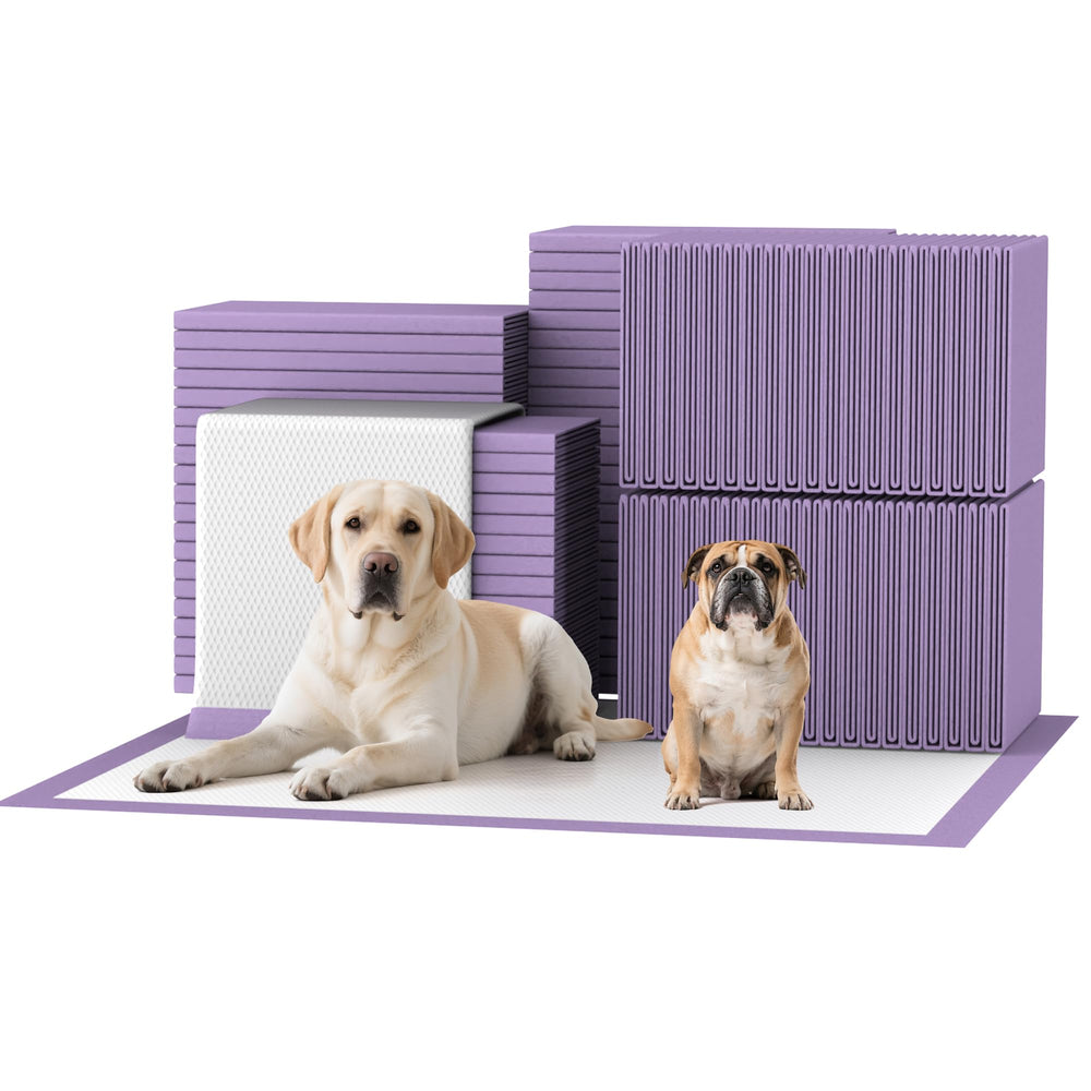 Bulubaky tapis-potty lavande absorbant 30x36 pour chiens et chats
