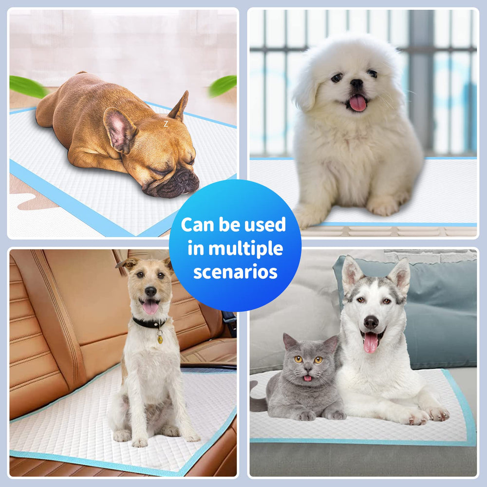 Bulubaky tapis usage multi-animaux, convient chiens et chats