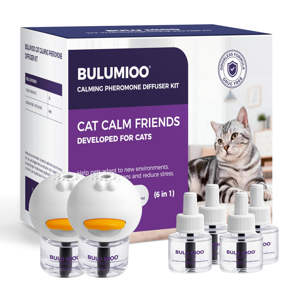 Diffuseur BULUMIOO pour chat – ensemble apaisant favorisant le calme dans la maison.