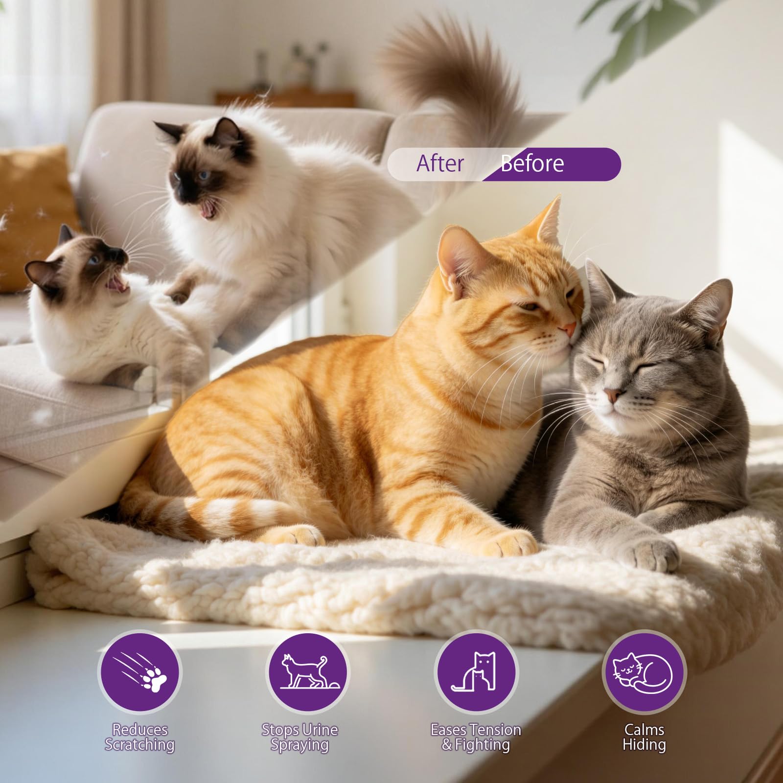Deux diffuseurs BULUMIOO pour chat – gestion du stress dans plusieurs pièces.