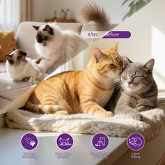 Deux diffuseurs BULUMIOO pour chat – gestion du stress dans plusieurs pièces.