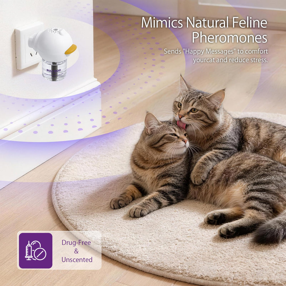 Quatre recharges BULUMIOO 48 ml – autonomie prolongée pour calmer les chats.
