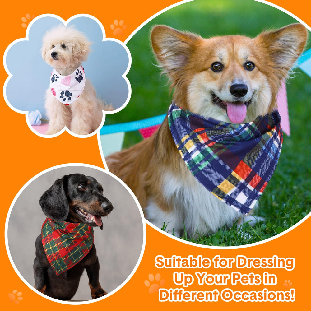 Idée cadeau Bulyoou pour chien, bandana coloré et pratique.